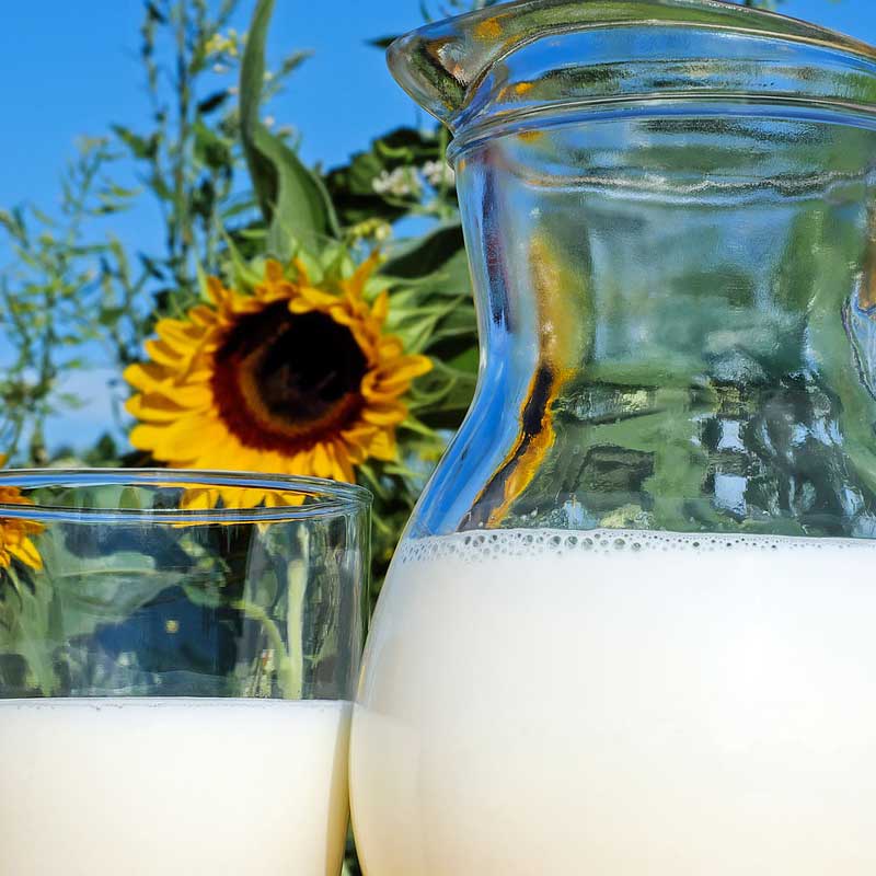 Healthy milk in glass and jug to illustrate vitamin B complex IV nutrition