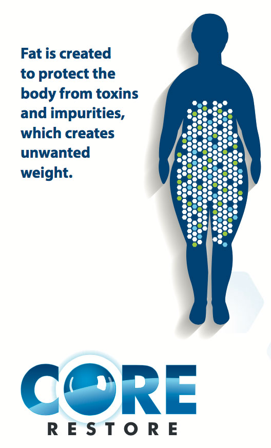 Image to show how toxins lead to weight gain and why detox is important