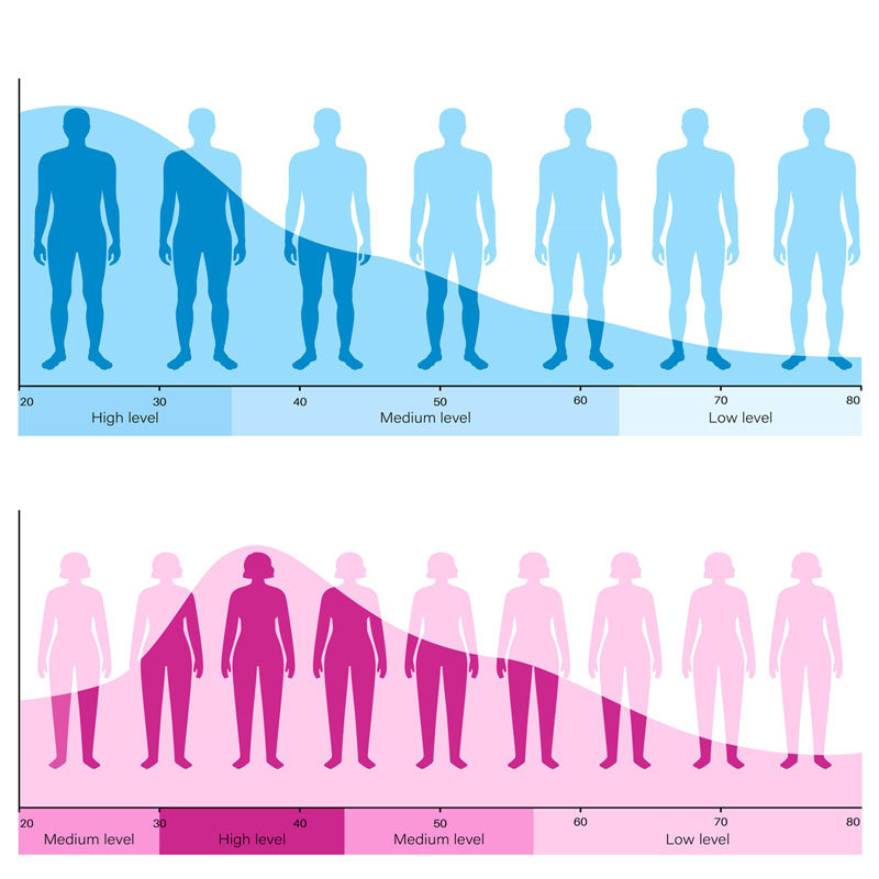 sex hormone and testosterone numbers or levels as we age