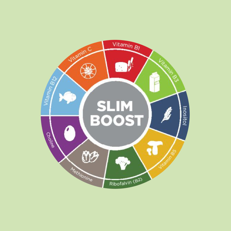 diagram of ingredients in super B slim boost